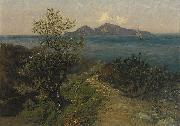 Julius Ludwig Friedrich Runge Sudliche Kustenlandschaft. Blick von der Hohe auf Insel an einem Sonnentag china oil painting artist